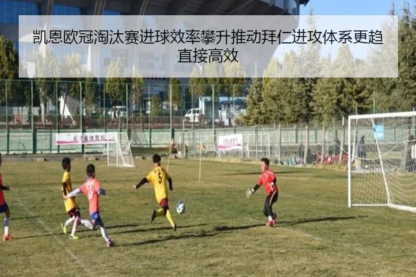 凯恩欧冠淘汰赛进球效率攀升推动拜仁进攻体系更趋直接高效 - Elephant Sports